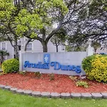 Arcadian Dunes 18-272
