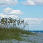 Carolina Dunes - 402