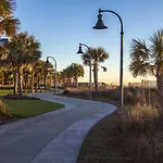 Carolina Dunes - 402