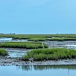 Carolina Dunes - 402