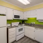 Ocean Forest Colony