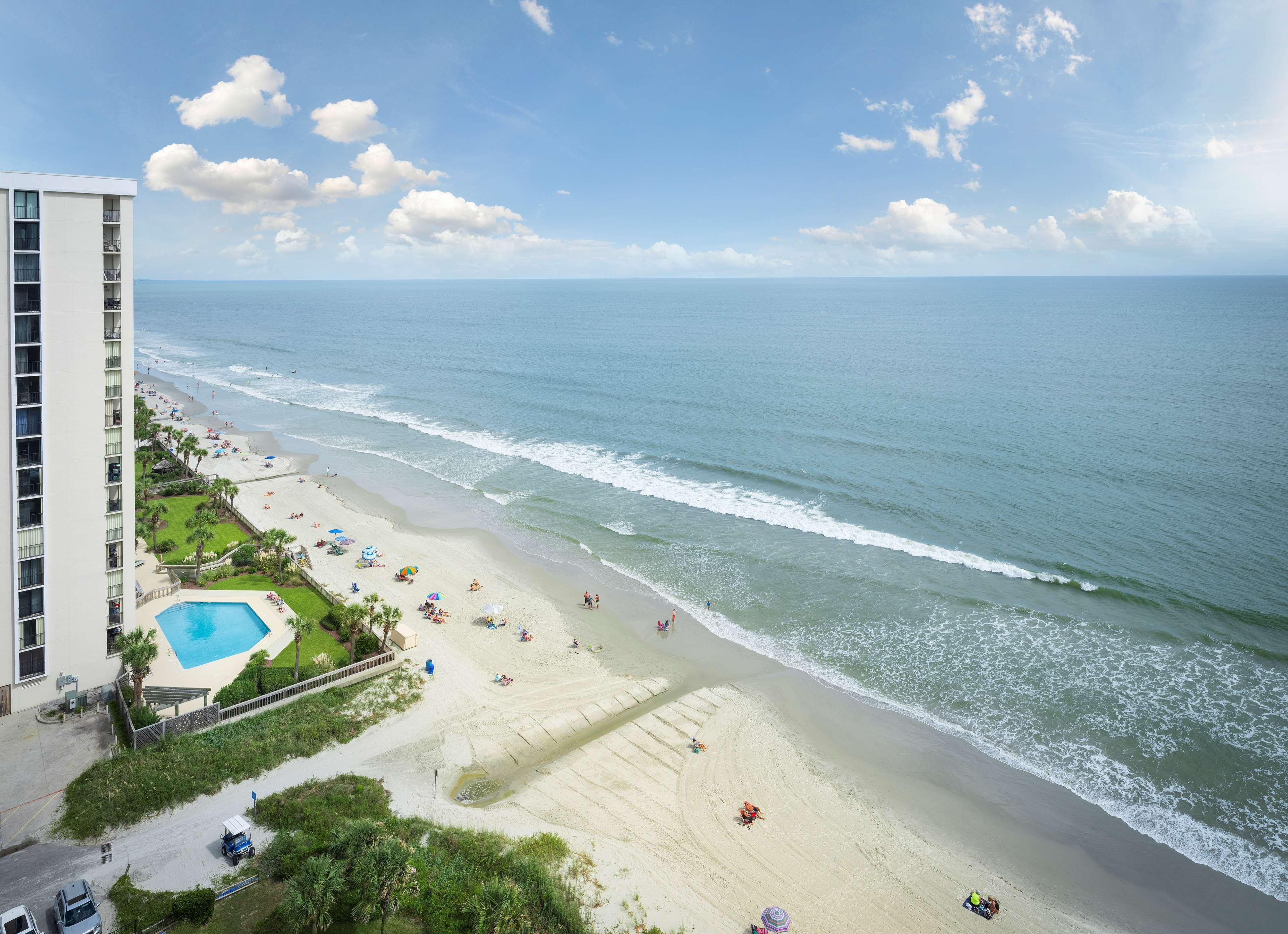 Hilton Myrtle Briarcliffe Acres