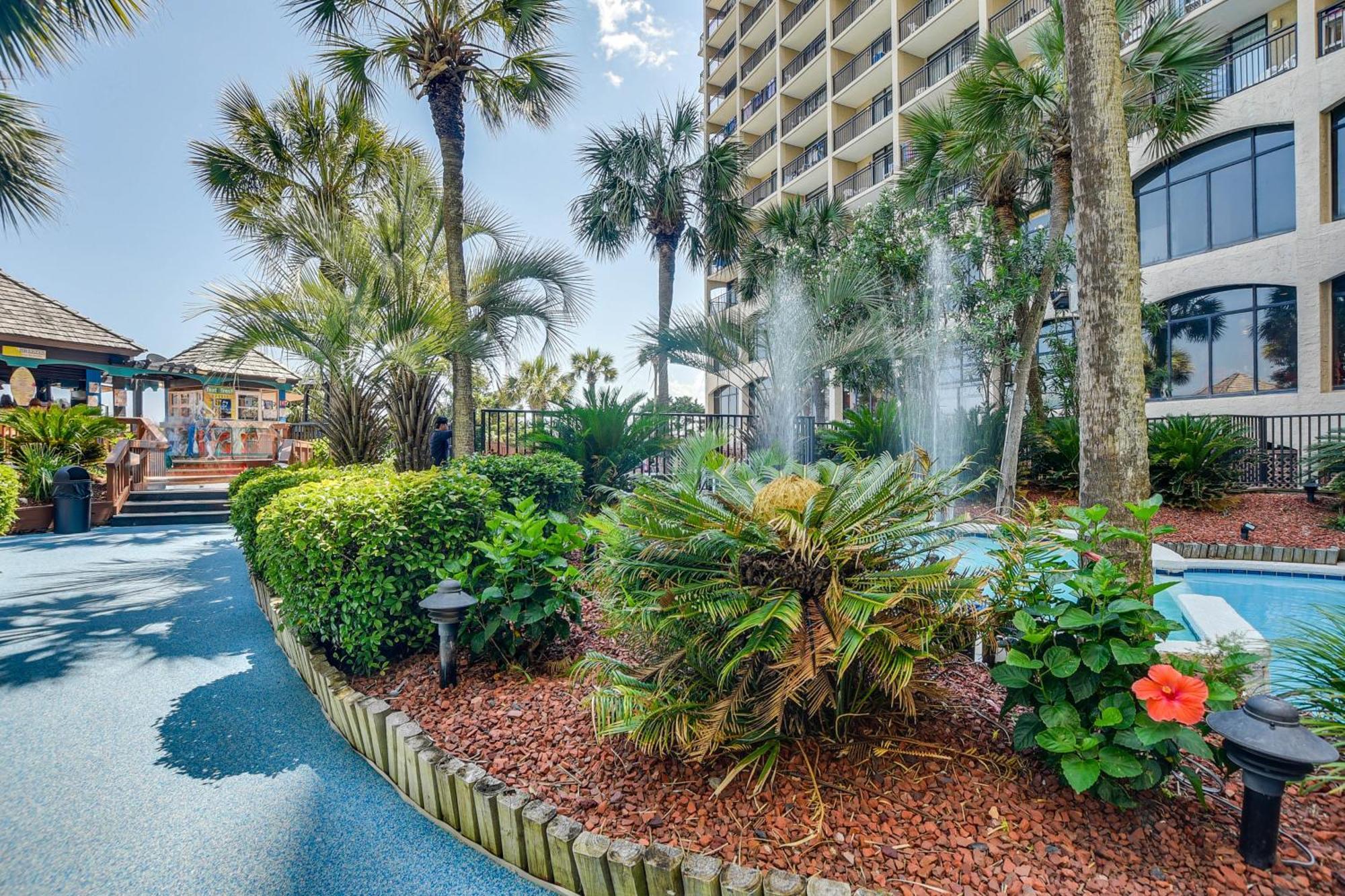 Oceanfront North Myrtle With Views! *