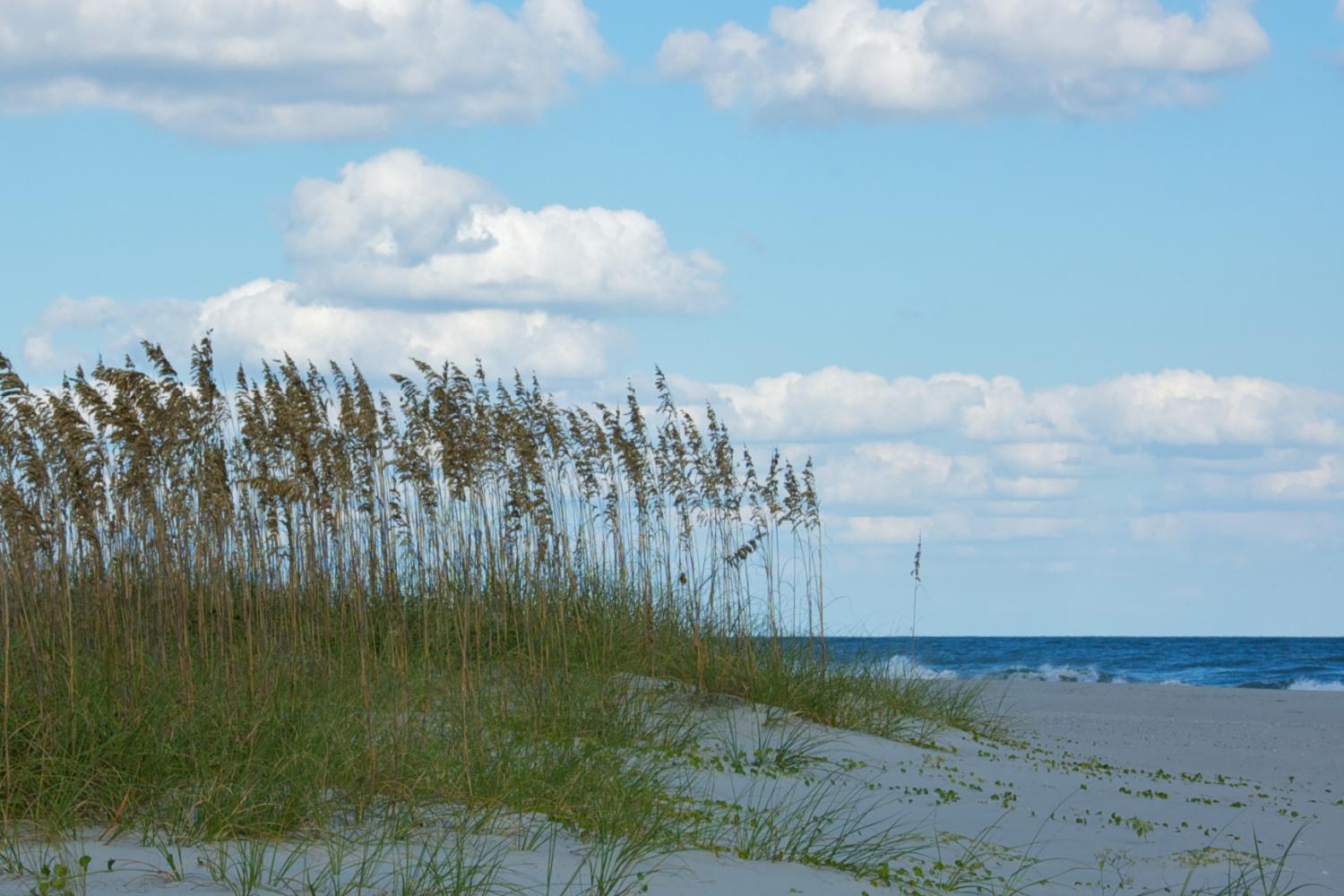 Carolina Dunes - 402 Holiday home *