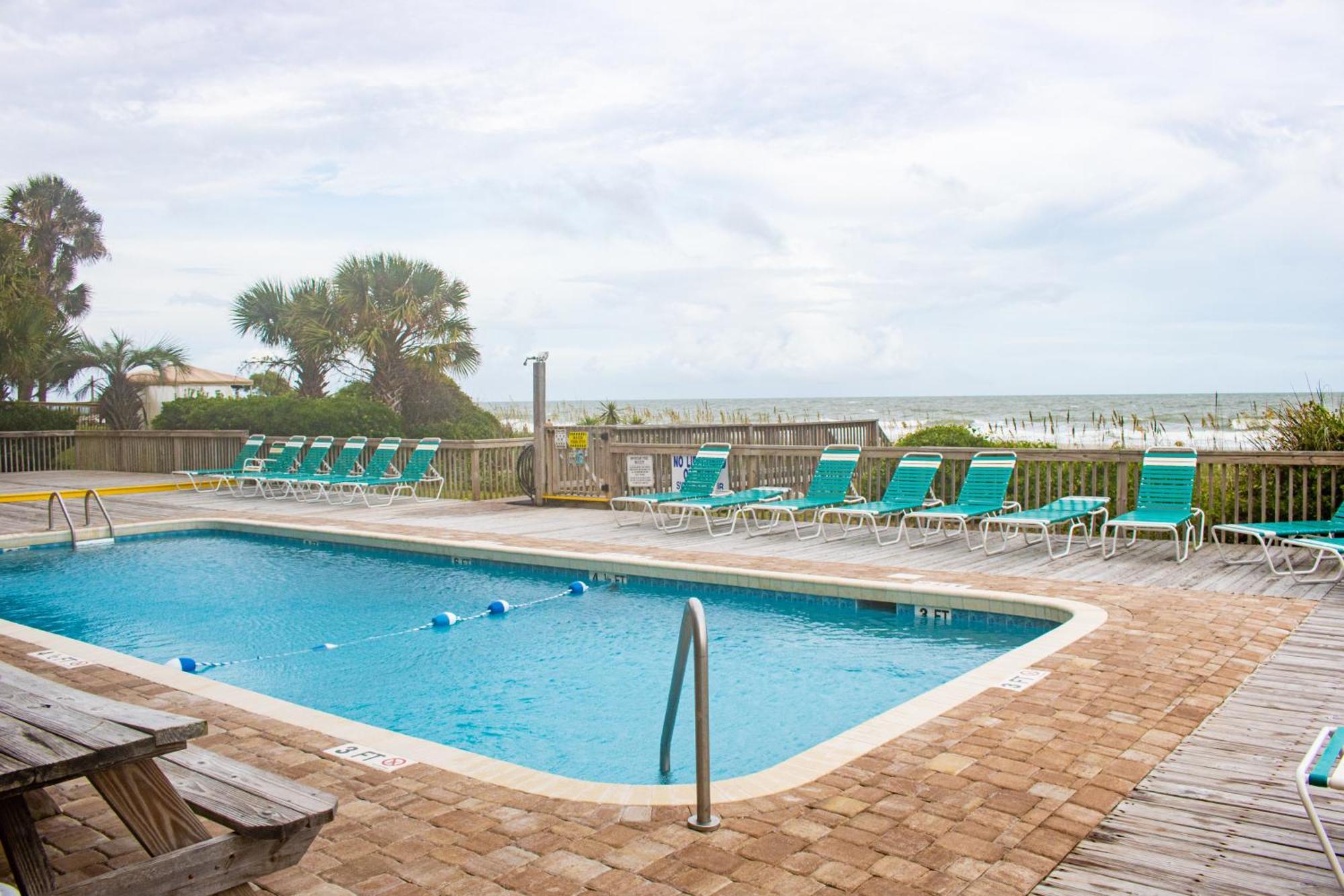 Ocean Forest Colony