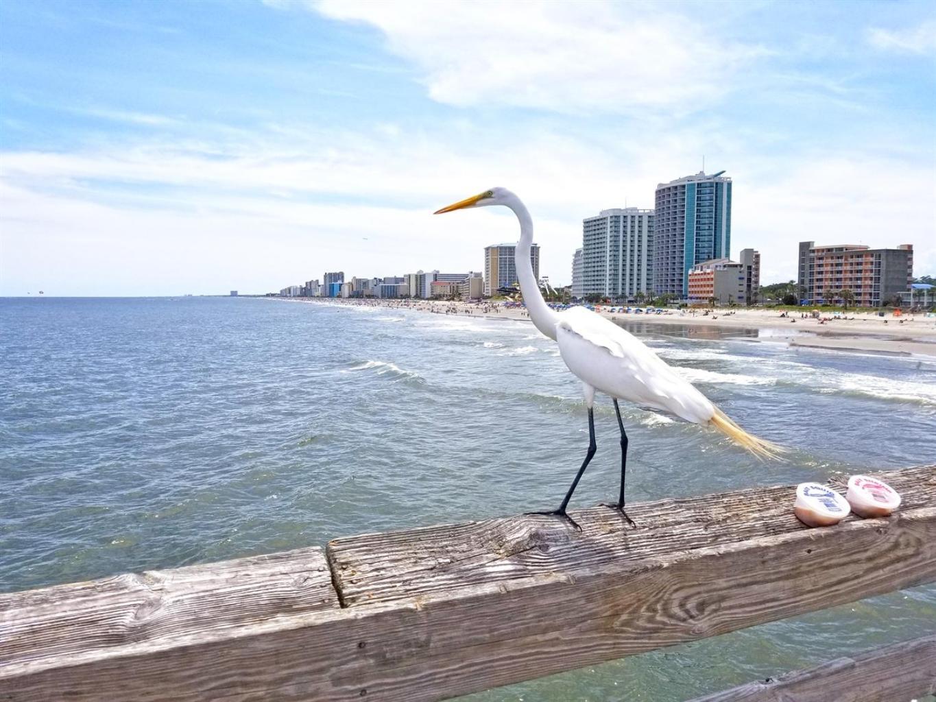 Oceanfront Myrtle Beach 2-Br Condo With Hot Tubs Aparthotel *