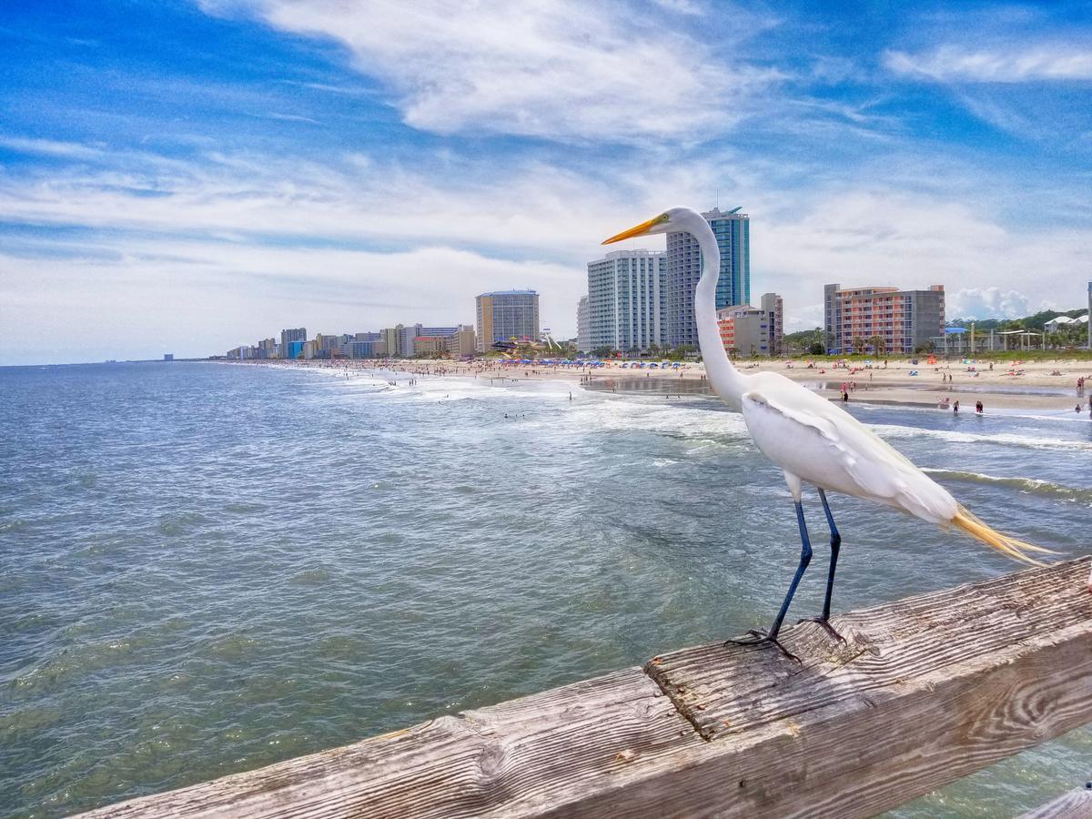 New Amazing Corneramazing Views Honeymoon Suite! Apartment *