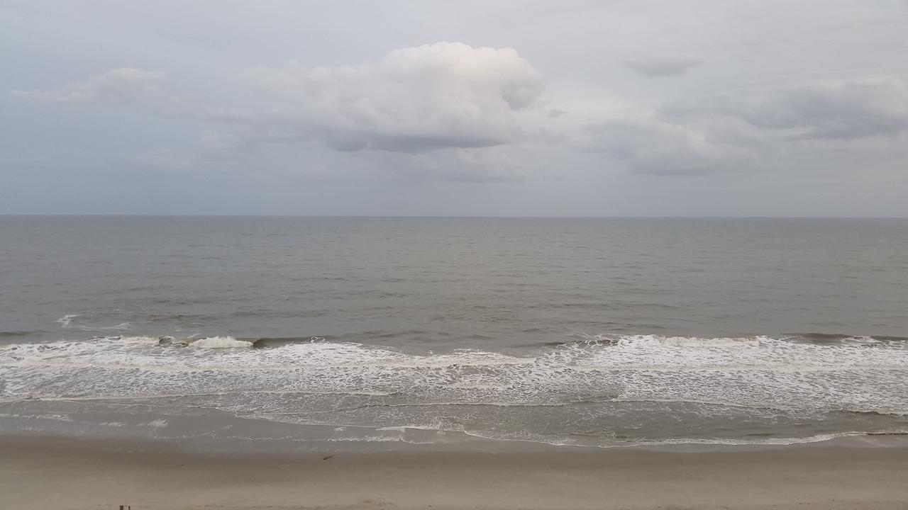 Reef 2*