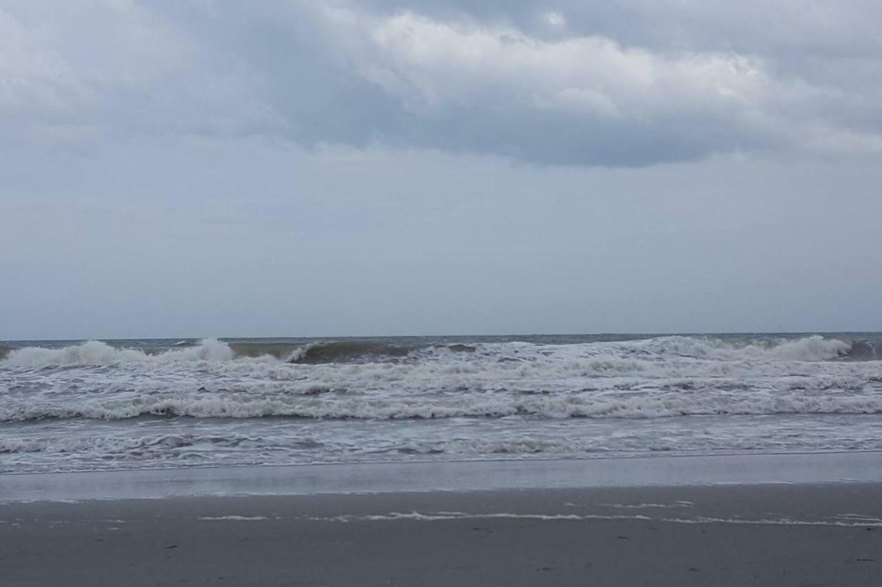 Seven Palms *