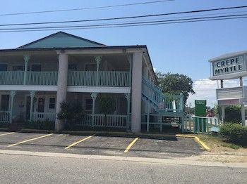Crepe Myrtle Myrtle Beach